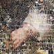 Illustration for article titled 7 Artists Who See the Big Picture in Tiny Objects